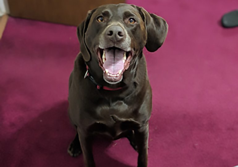 Happy-National-Stick-Your-Tongue-Out-Day